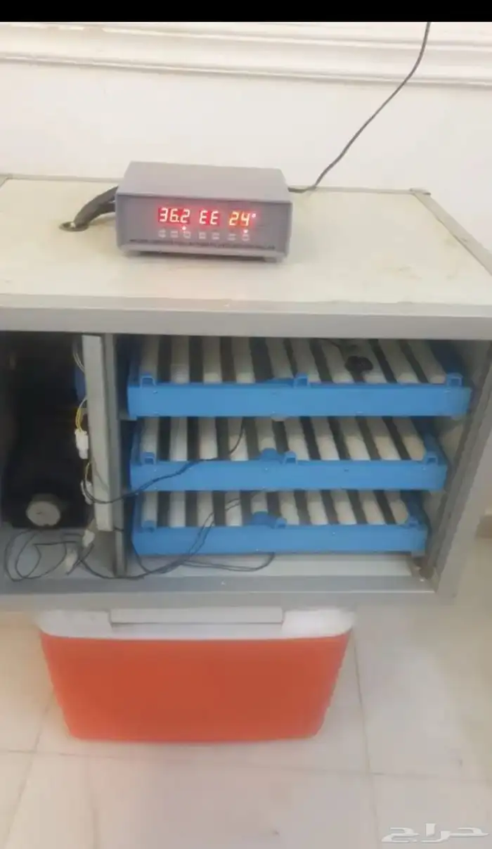 فقاسة تشيل 200 بيضة 2