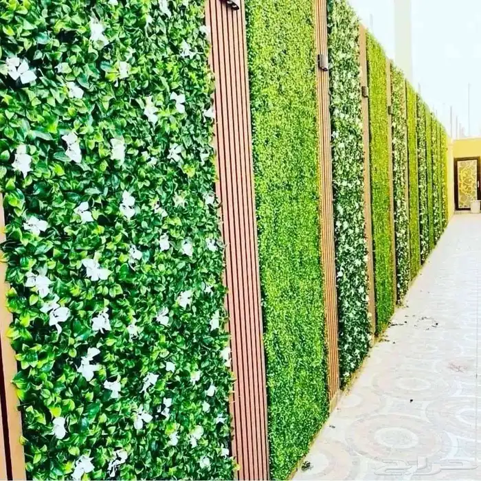 تنسق حدائق وشبكه الرأي 1