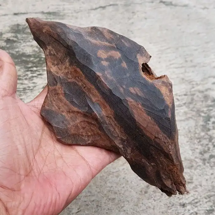 كسرتين عود كلمتانا وزنها 270 و400 جرام نوادر رائحة وشكل جميل 0