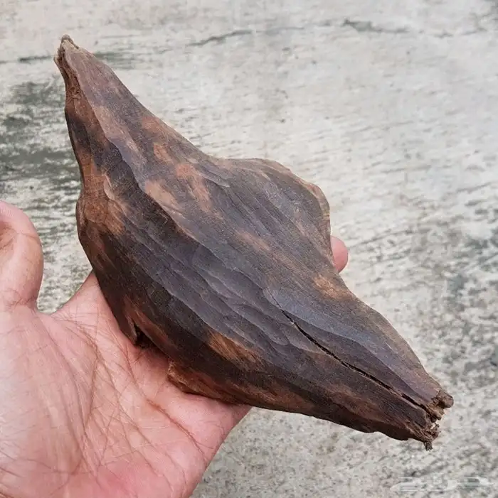 كسرتين عود كلمتانا وزنها 270 و400 جرام نوادر رائحة وشكل جميل 1