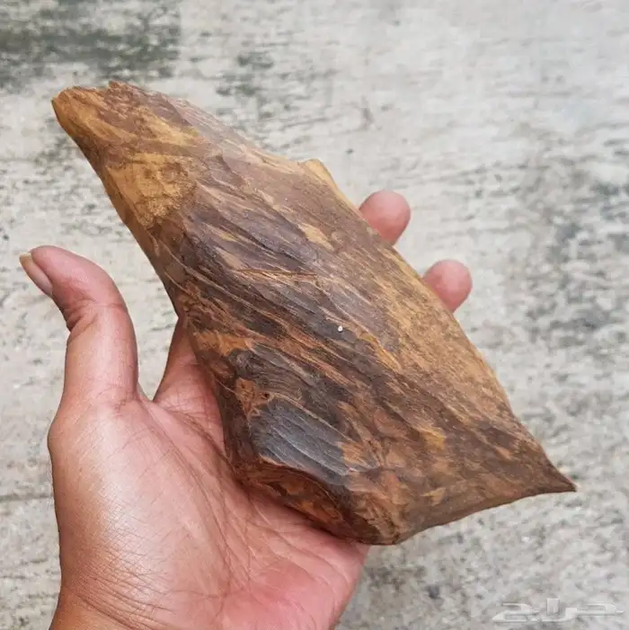 كسرتين عود كلمتانا وزنها 270 و400 جرام نوادر رائحة وشكل جميل 5