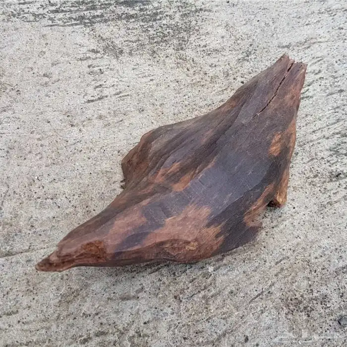 كسرتين عود كلمتانا وزنها 270 و400 جرام نوادر رائحة وشكل جميل 2