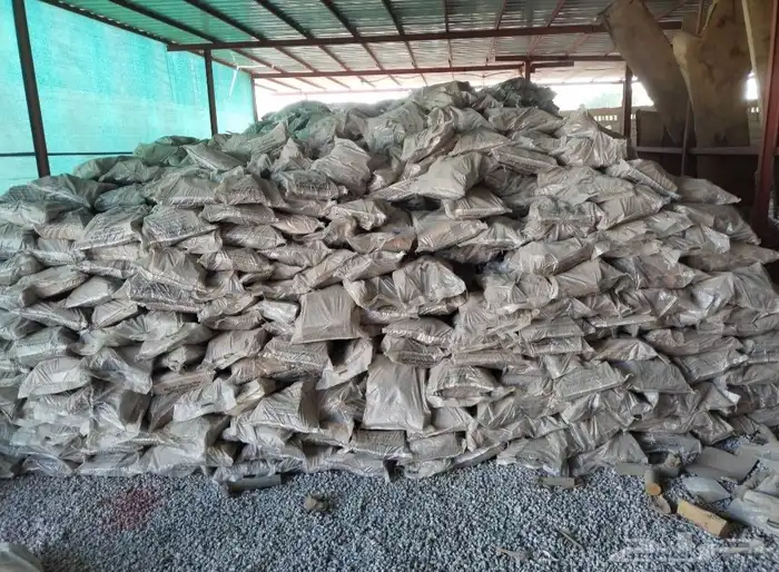 حطب زيتون ناشف 100 في 4