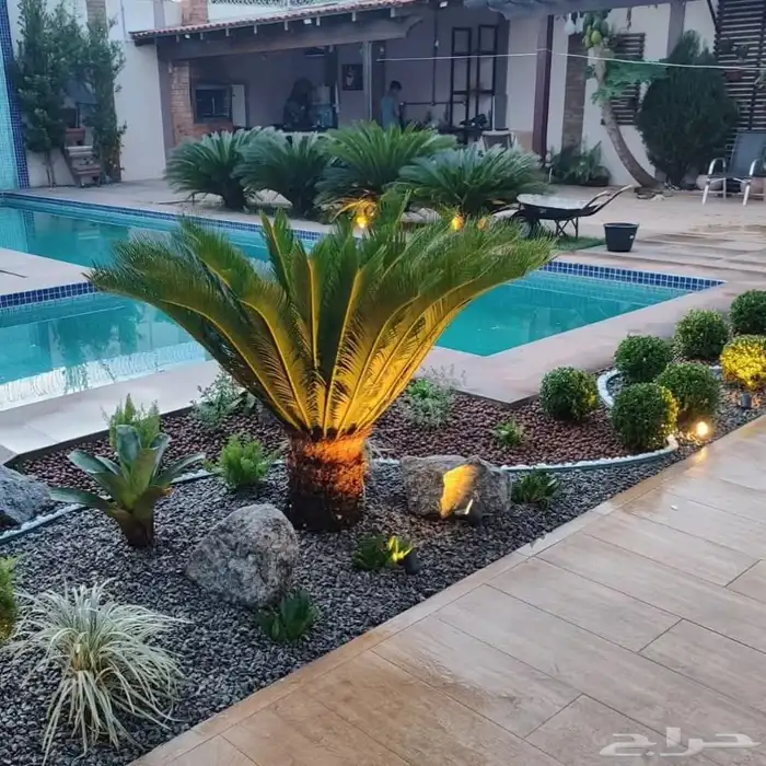 تنسيق الحدائق المنزلية والمقاولات العامه والترميمات الداخليه 5