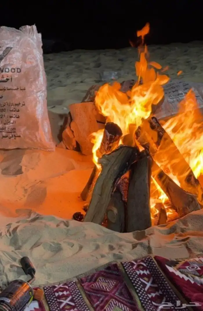 حطب زيتون ناشف 100 في 0