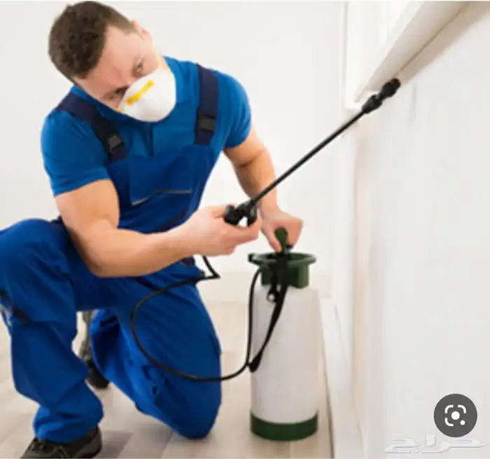 مكافحة حشرات رش صراصير بالمدينة المنورة 0