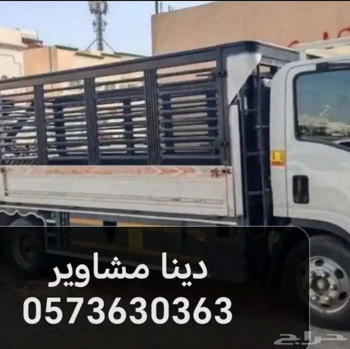 دينا نقل عفش صامطة الأحد المسارحه جازان صبيا 0