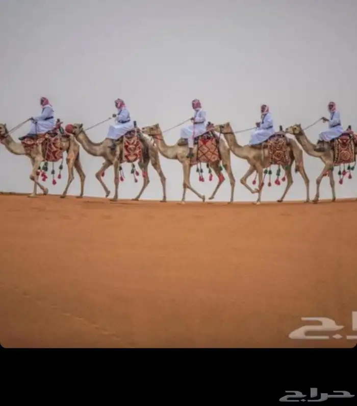 آجار جمال رحول ركبي لي التصوير وا الفعاليات وا المناسبه 0