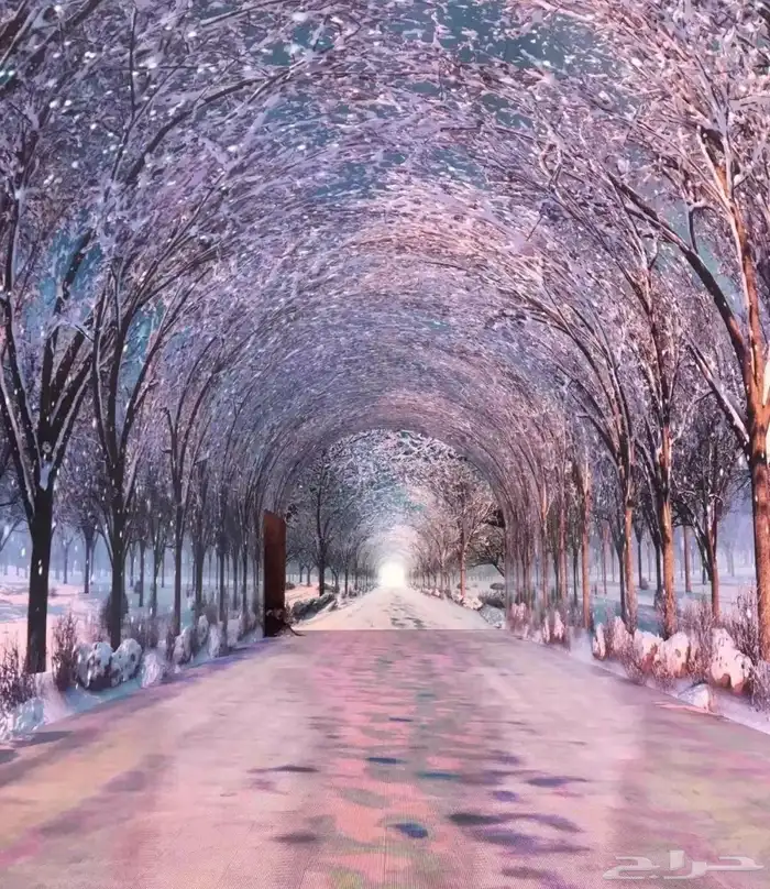 تأجير شاشات LED عملاقة 22