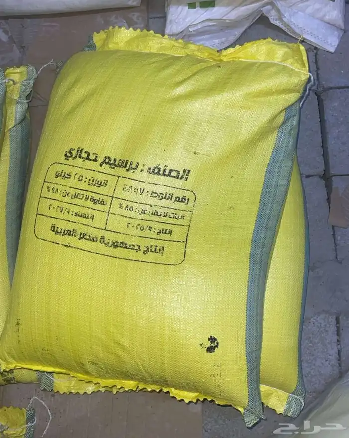 بذور برسيم حجازي 0