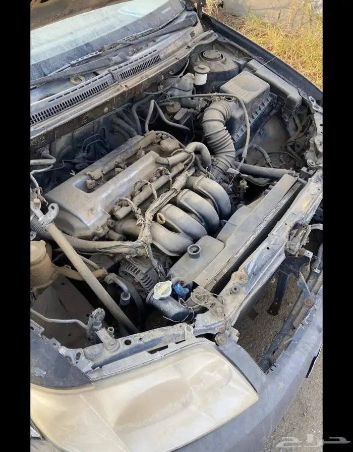 كورلاء 2006 تماتيك مكينة كبير 6