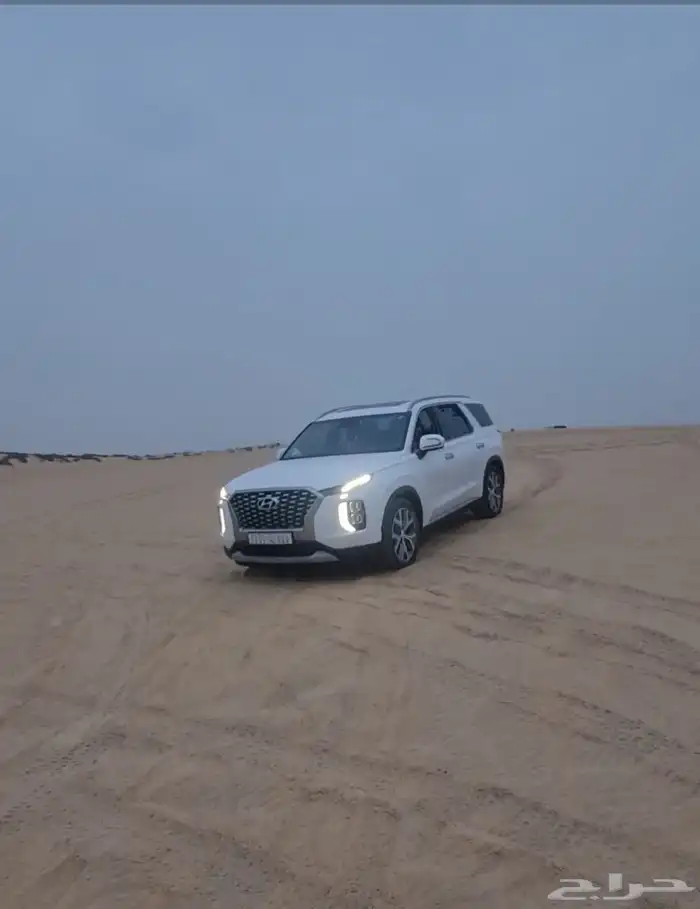 باليسيد هيونداي 16