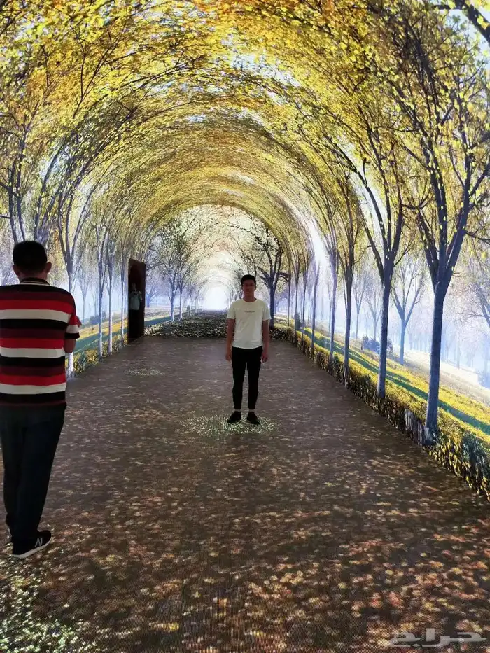 تأجير شاشات LED عملاقة 21