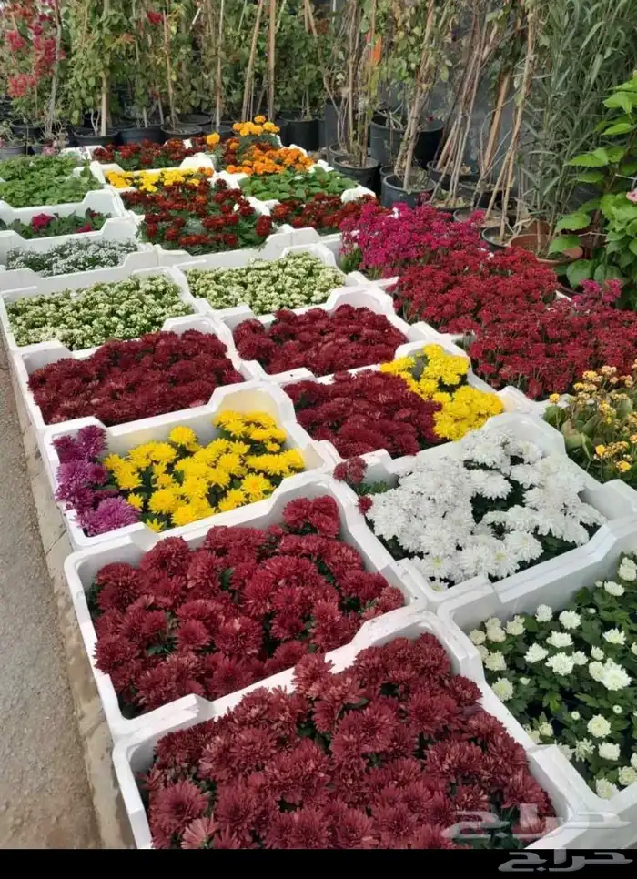 مشتل لتنسيق الحدائق 9