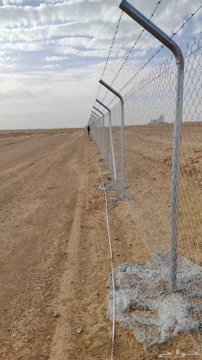 نقوم بتوريد جميع انواع النخيل وتركيب الشبوك 3