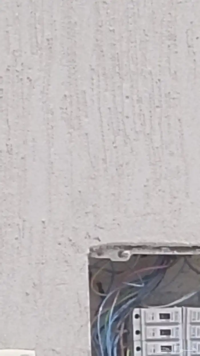 دھان  ا ستاني 1