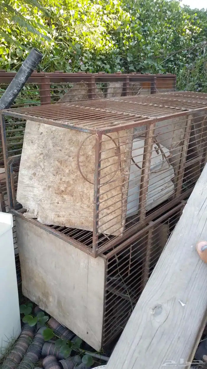 محاكر حمام 25جوز 0