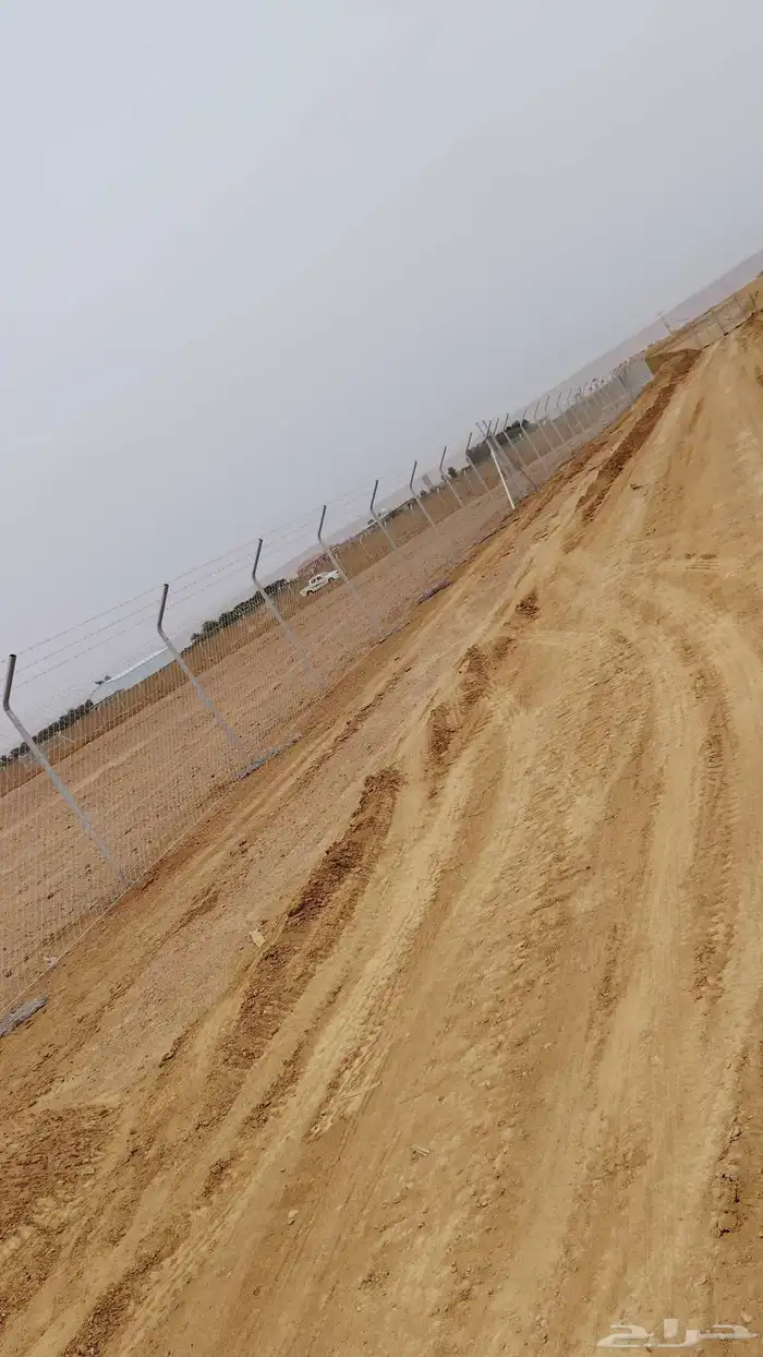 نقوم بتوريد جميع انواع النخيل وتركيب الشبوك 2