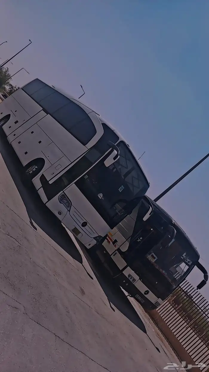 باصات للايجار 9