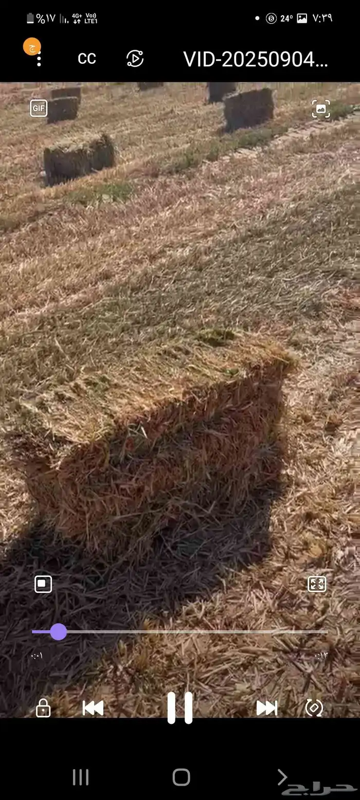 دره جزانى اخمر م اس 87 6