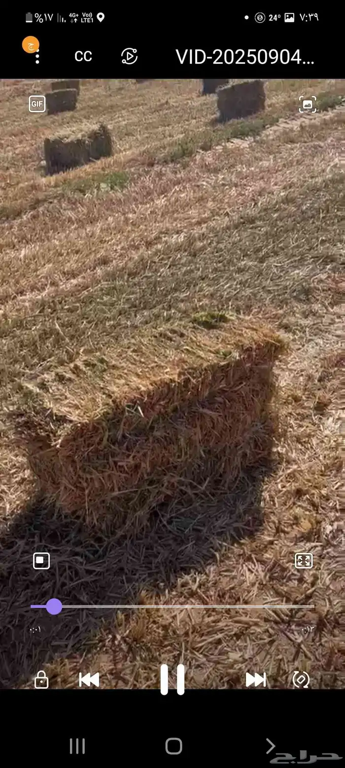 دره جزانى اخمر م اس 87 5