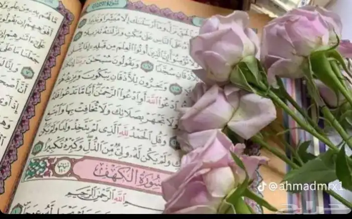 هنحفظ قرأن 0