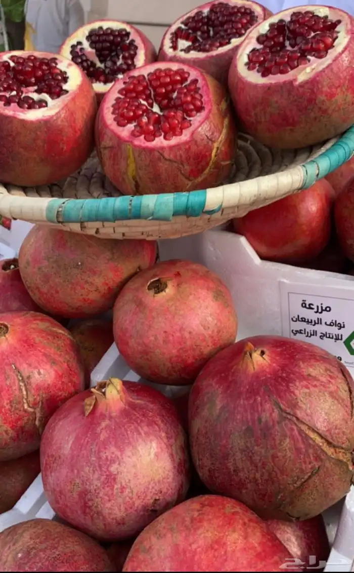 رمان الشيحية 1