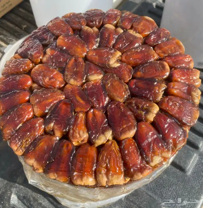 برني العيص 2