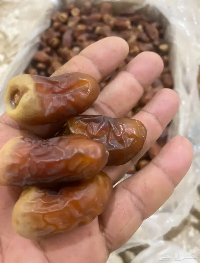 برني العيص 1