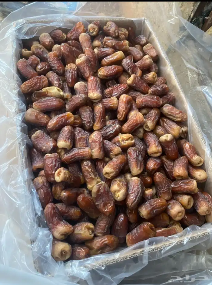 برني العيص 0