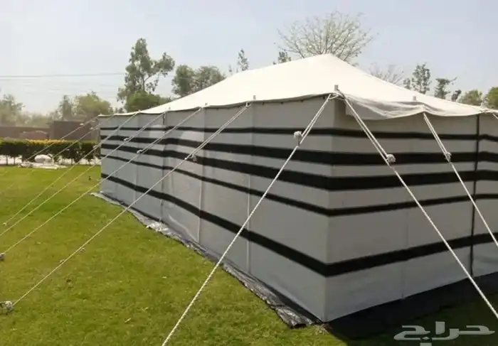 بيوت شعر الالون ابيض تركي 2