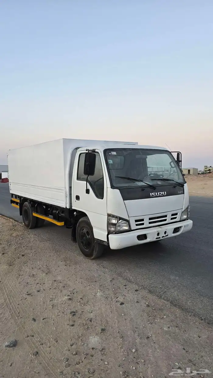 دينا ايسوزو 2008 1