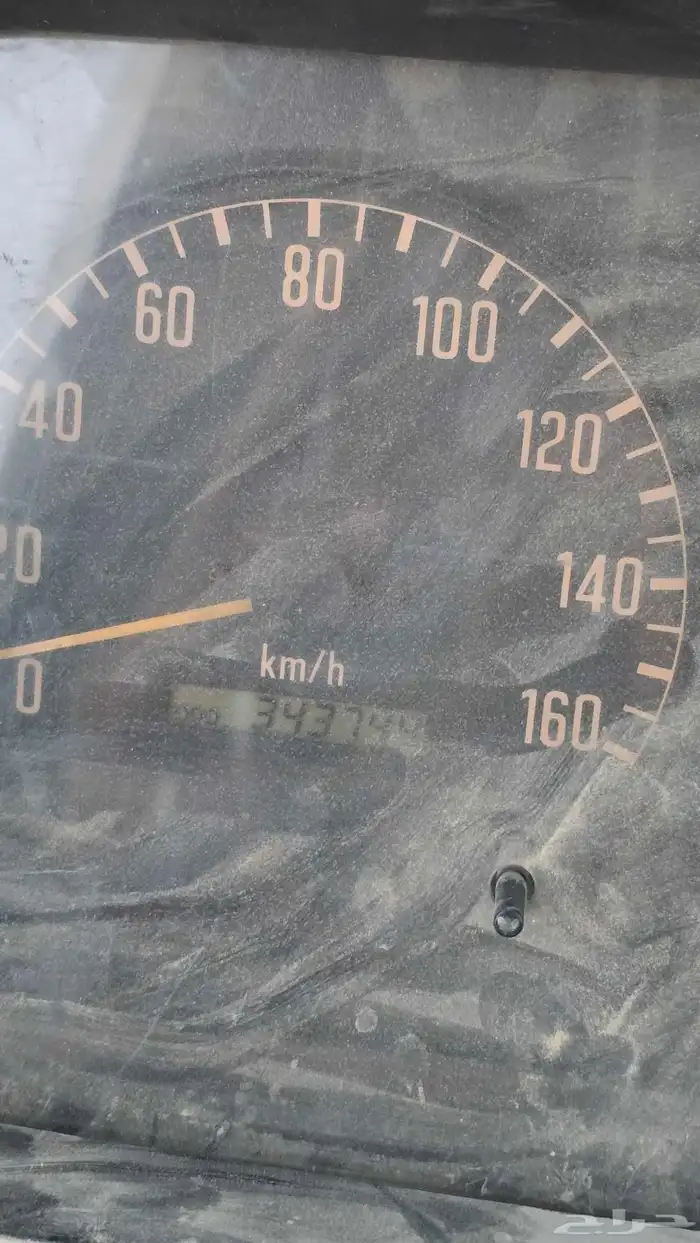 دينا ايسوزو 2008 4