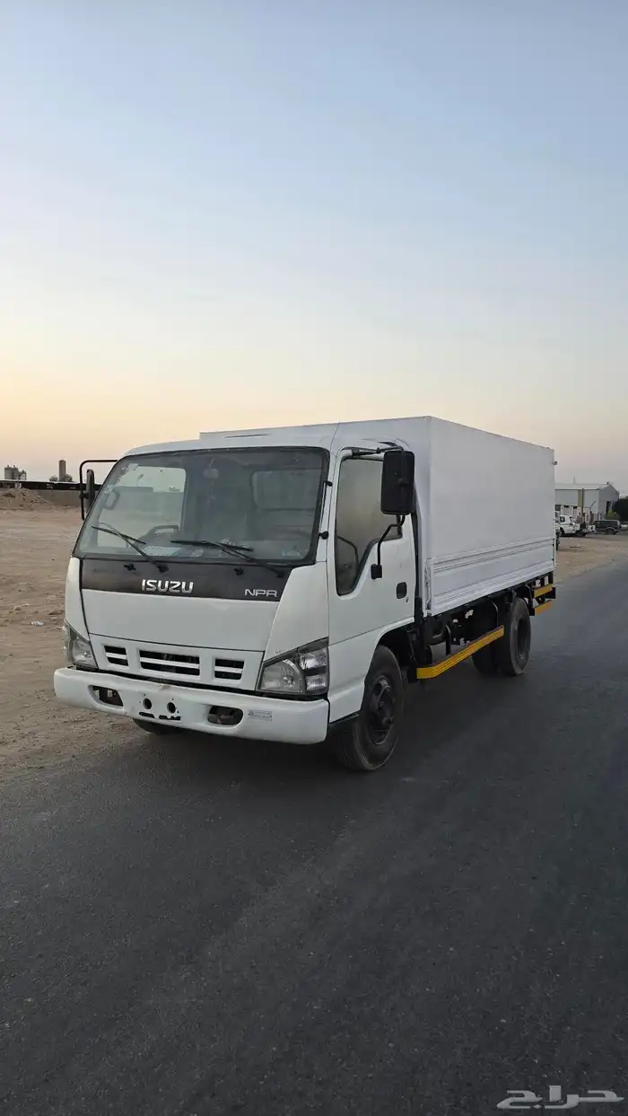 دينا ايسوزو 2008 0