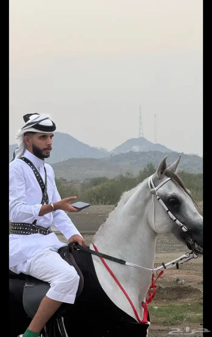 الطايف وادي ليه 2