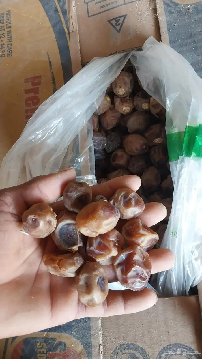 السلام عليكم ورحمة الله وبركاته يوجد لدينا مشكلات طيبه 1