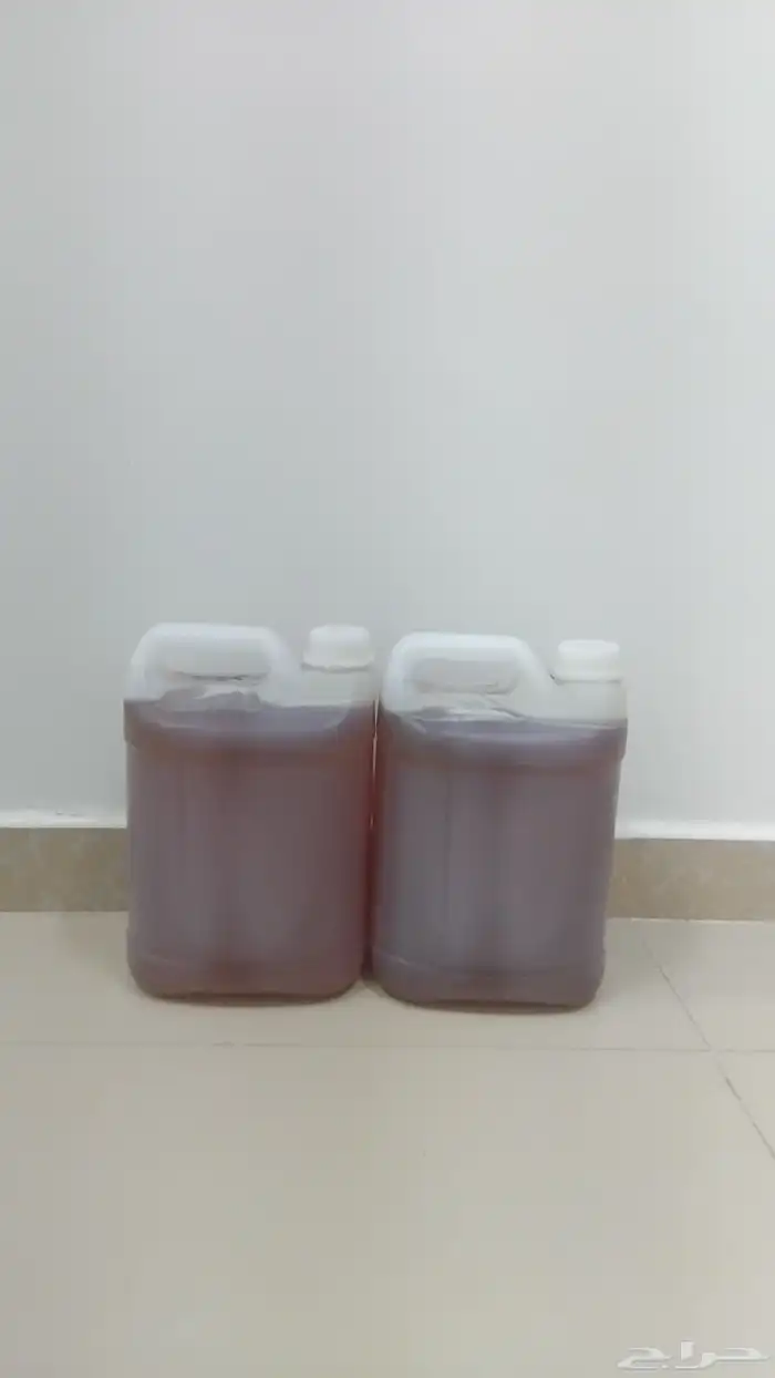 عسل المراعي وصليط للبيع 1