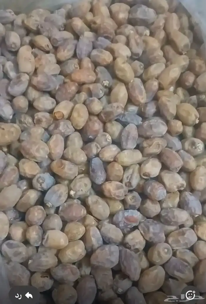 تمر كرتون موز 20 كيلو للبيع 2