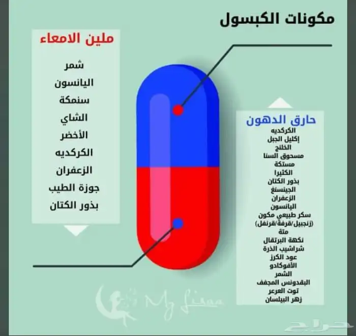 ممتاز ماي ليزا لإنقاص الوزن 1