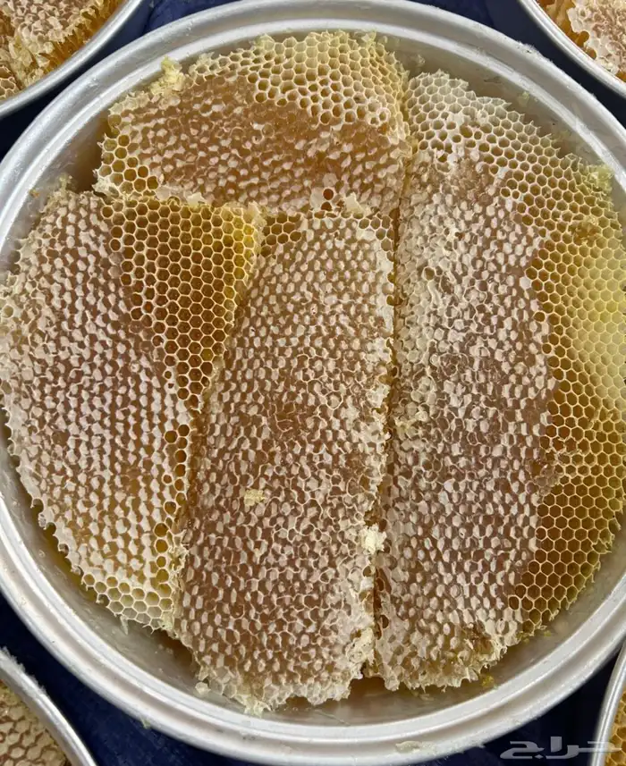 عسل سدر انتاج جديد 2