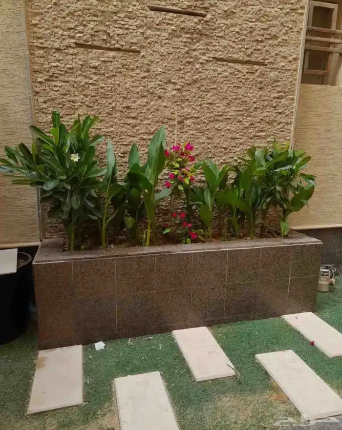 حوض زراعة الاشجار من بلك او بندورة 5