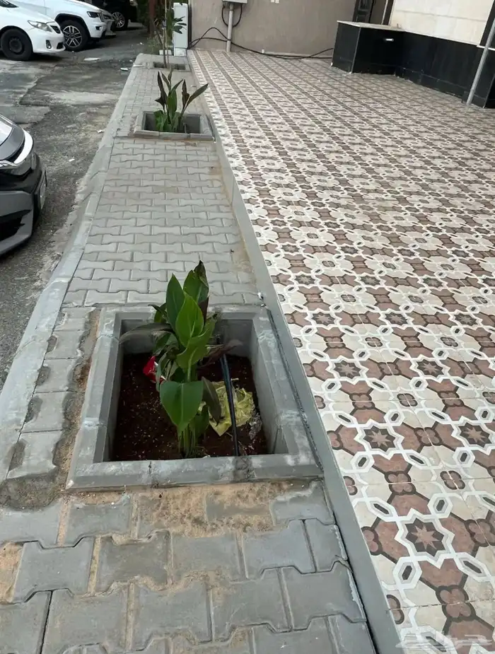 حوض زراعة الاشجار من بلك او بندورة 4