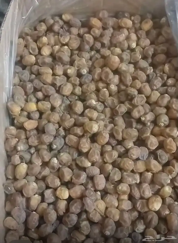 تمر كرتون موز 20 كيلو للبيع 0