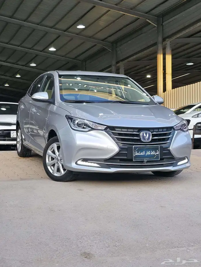 شانجان السفن 2025 5