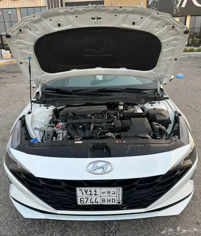 النترا 2021 وارد الوعلان 6