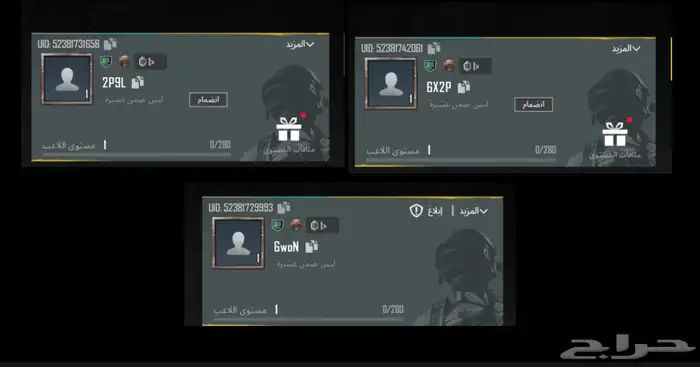 اسم ببجي 0