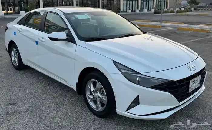 النترا 2021 وارد الوعلان 2