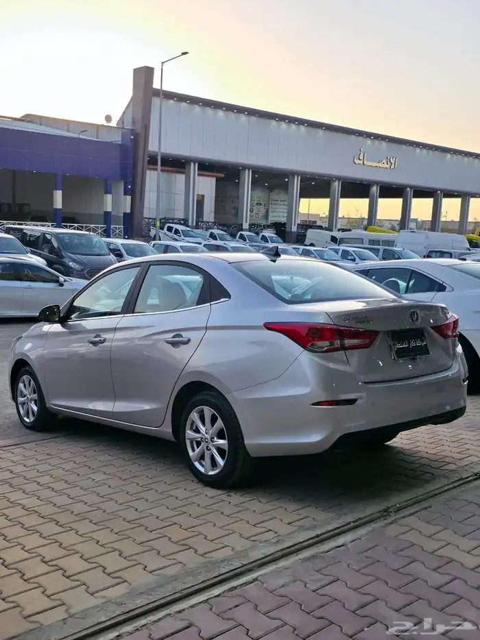 شانجان السفن 2025 3