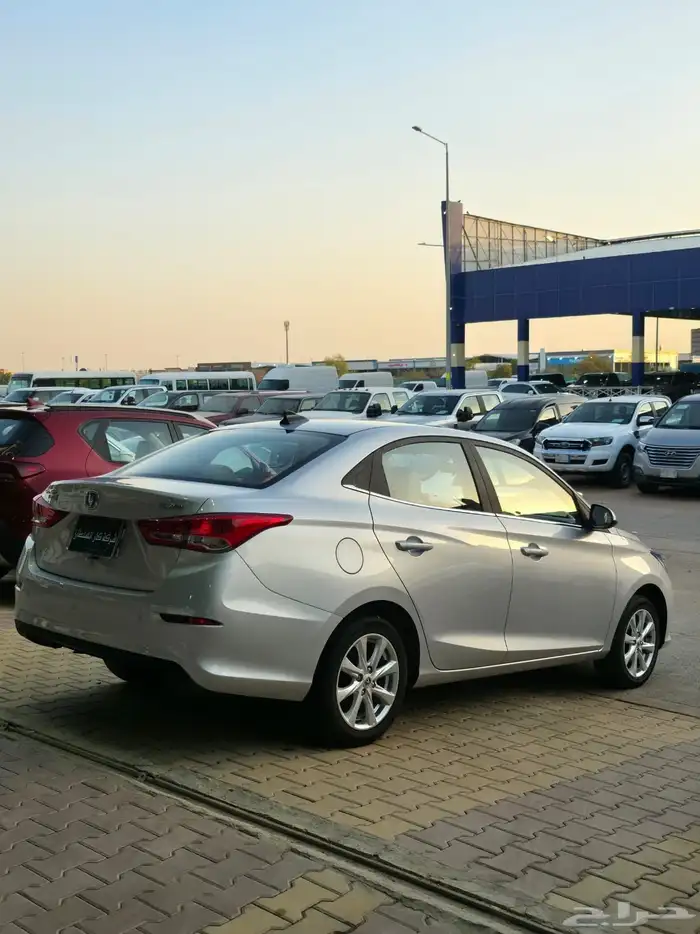 شانجان السفن 2025 17