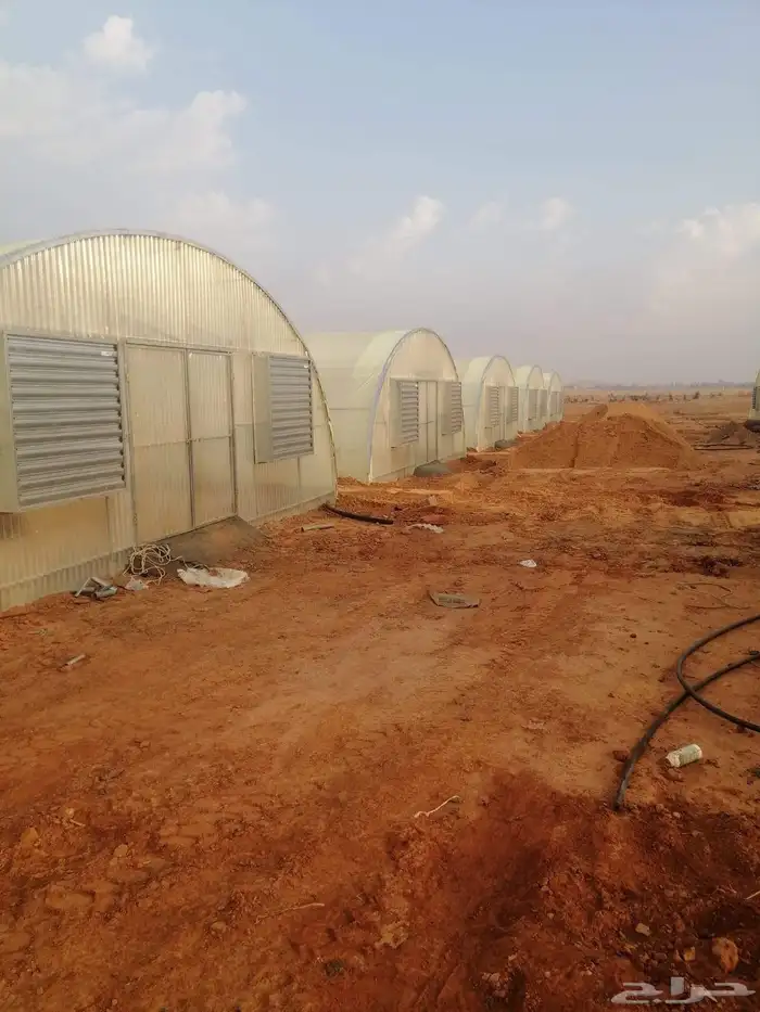 شركة قطاف للبيوت المحمية بالسعودية بأسعار مناسبة 1